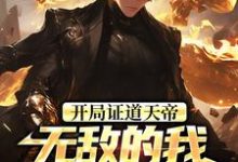 开局证道天帝，无敌的我在地球乱杀完整版小说，开局证道天帝，无敌的我在地球乱杀叶凌天叶小雨全章小说阅读-神奇文学