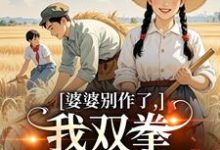 婆婆别作了，我双拳一出就是虐（夏晚晴赵宴京）全章小说阅读-神奇文学