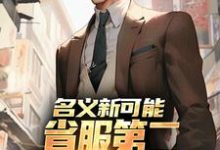名义新可能：省服第二能否逆转大局最新完结小说名义新可能：省服第二能否逆转大局萧承李妙灵免费小说-神奇文学