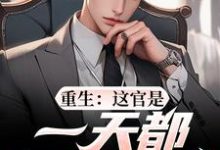 (全文)重生:这官是一天都不想当了梁惟石唐欣怡最新完结小说重生:这官是一天都不想当了免费小说全本-神奇文学