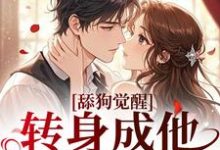 舔狗觉醒，转身成他高攀不起最新完结小说舔狗觉醒，转身成他高攀不起舒念沈晏宸免费小说-神奇文学