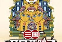 三国：开局蓝胖子，我竟黄袍加身（苏木苏润之）全本书籍阅读三国：开局蓝胖子，我竟黄袍加身完整版小说-神奇文学