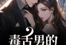 (全文)毒舌男的温柔攻势(盛京御宋听晚)全本免费在线阅读-神奇文学