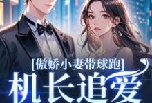 (全文)傲娇小妻带球跑,机长追爱不停歇顾予琛徐歆薇全本免费在线阅读-神奇文学