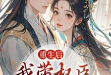(全文)重生后,我带权臣杀入前夫府内免费小说全本,沈月昭陆明渊试读更新章节-神奇文学