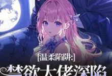 温柔陷阱:禁欲大佬深陷追妻修罗场温荣仓央嘉措免费小说温柔陷阱:禁欲大佬深陷追妻修罗场推荐完结小说-神奇文学
