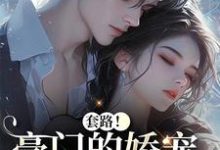 (全文)套路！豪门的娇宠千金撩夫了颜亦辰梵晞悦全本免费在线阅读-神奇文学