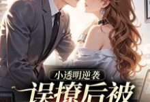 (全文)误撩后被大佬宠上天(许惟昭方肃礼)全本书籍阅读误撩后被大佬宠上天免费小说全本-神奇文学
