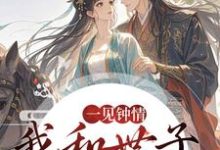 一见钟情,我和世子天生一对沈如风苏云锦完结小说推荐,一见钟情,我和世子天生一对全章小说阅读-神奇文学