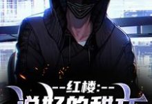 (全文)红楼：说好的甜文咋变恐怖文了齐洛最新完结小说红楼：说好的甜文咋变恐怖文了免费小说全本-神奇文学