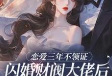 恋爱三年不领证,闪婚财阀大佬后他急疯苏婠周衍焱试读更新章节恋爱三年不领证,闪婚财阀大佬后他急疯苏婠周衍焱免费小说-神奇文学