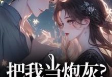 把我当炮灰？来人！给我虐最新完结小说把我当炮灰？来人！给我虐谢宏屿林昭免费小说-神奇文学