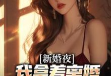 新婚夜,我拿着离婚协议黯然离场推荐完结小说,新婚夜,我拿着离婚协议黯然离场叶修远白若雪免费小说全本-神奇文学