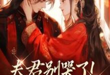 (全文)夫君别哭了!我来替你虐渣沈婉宁韩云泽全本免费在线阅读-神奇文学