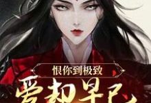 (全文)恨你到极致,爱却早已深入骨髓(苏婉江忱序)全本免费在线阅读-神奇文学