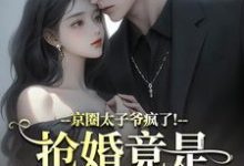 (全文)京圈太子爷疯了!抢婚竟是蓄谋已久(陆妄辞虞晚颜)全本免费在线阅读-神奇文学