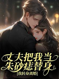 苑意林天禄丈夫把我当朱砂痣替身，我转身离婚全本免费在线阅读