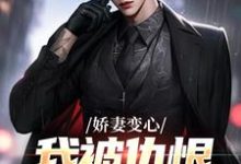 (全文)娇妻变心，我被仇恨占据了全身(路无铭墨凉馨)全本免费在线阅读-神奇文学
