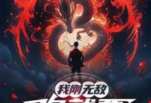 我刚无敌,你就要跟我退婚?完整版小说,我刚无敌,你就要跟我退婚?苏阳试读更新章节-神奇文学