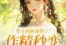 男主的前妻悟了！作精秒变粘人精许岁宁霍青山试读更新章节男主的前妻悟了！作精秒变粘人精许岁宁霍青山免费小说-神奇文学