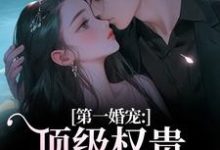 第一婚宠:顶级权贵追妻火葬场热门小说排行榜第一婚宠:顶级权贵追妻火葬场叶惊兰薄戎淮免费小说全本-神奇文学