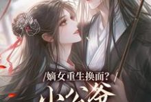 裴溟辰云霁嫡女重生换面？小公爷红妆谋娶她全本免费在线阅读-神奇文学