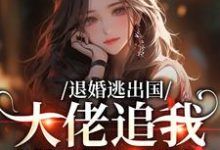 江野崎楚灵兮退婚逃出国,大佬追我满世界跑全本免费在线阅读-神奇文学