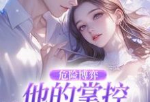 危险博弈:他的掌控与她的反杀叶时欢最新完结小说,危险博弈:他的掌控与她的反杀全本免费在线阅读-神奇文学