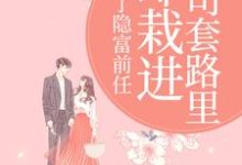 林昭陆景淮甩了隐富前任，却栽进上司套路里全本免费在线阅读-神奇文学