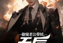 偷窥老公带娃，天后坐不住了推荐完结小说偷窥老公带娃，天后坐不住了(陆辰)免费小说全本-神奇文学