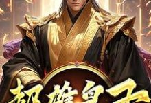 (全文)超雄皇子（萧凡）试读更新章节超雄皇子免费小说-神奇文学