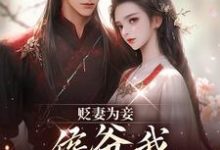 贬妻为妾，侯爷我不伺候啦（慎如余启）小说推荐贬妻为妾，侯爷我不伺候啦全章小说阅读-神奇文学