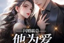 闪婚霸总，他为爱抛弃一切（苏绿柔厉墨焱）全本书籍阅读闪婚霸总，他为爱抛弃一切完整版小说-神奇文学