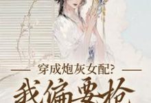 穿成炮灰女配？我偏要抢女主资源顾柠芸慕辰泽免费小说穿成炮灰女配？我偏要抢女主资源推荐完结小说-神奇文学