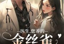 (全文)医生，您养的金丝雀要飞走了（苏慕春丁嘉朗）全本书籍阅读医生，您养的金丝雀要飞走了免费小说全本-神奇文学