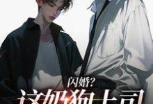 (全文)闪婚？这奶狗上司真难缠免费小说全本，赵芜鱼邓北辰试读更新章节-神奇文学