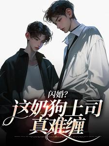 (全文)闪婚？这奶狗上司真难缠（赵芜鱼邓北辰）试读更新章节闪婚？这奶狗上司真难缠免费小说