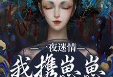 (全文)一夜迷情,我携崽崽俘获他热门小说排行榜,一夜迷情,我携崽崽俘获他云素予段凌霁全章小说阅读-神奇文学