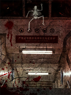 佣兵首领陨落后，被小人鱼救赎了（墨星钰）小说推荐佣兵首领陨落后，被小人鱼救赎了全章小说阅读
