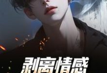 剥离情感,你我用不相爱推荐完结小说,剥离情感,你我用不相爱陆琛免费小说全本-神奇文学
