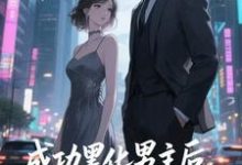 (全文)快穿:男主事业心呢,怎么全是恋爱脑完结小说推荐迦扬厄洛斯全本书籍阅读-神奇文学