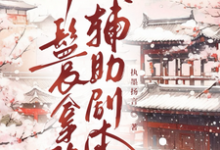 丫鬟拿稳辅助剧本最新章节阅读丫鬟拿稳辅助剧本(傅初霁)试读更新章节-神奇文学