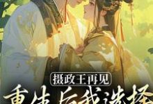 摄政王再见，重生后我选择绿茶小皇帝推荐完结小说，摄政王再见，重生后我选择绿茶小皇帝萧轻羽免费小说全本-神奇文学