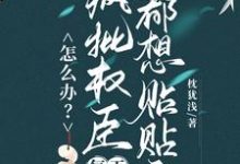 怎么办?疯批权臣每天都想贴贴我(顾轻舟)全章小说阅读-神奇文学