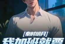 (全文)秦时明月:我加班就要被扣经验值(赵子珏)全本书籍阅读秦时明月:我加班就要被扣经验值免费小说全本-神奇文学