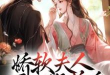 乔嫚宁祈娇软夫人不再撒娇后，侯爷他慌了全本免费在线阅读-神奇文学