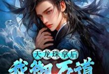 天龙珠拿后，我御万道吞四海江尘免费小说天龙珠拿后，我御万道吞四海推荐完结小说-神奇文学