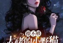 撩不够，大佬的小野猫又欲又嚣张陆晨矅完结小说推荐撩不够，大佬的小野猫又欲又嚣张全本书籍阅读-神奇文学
