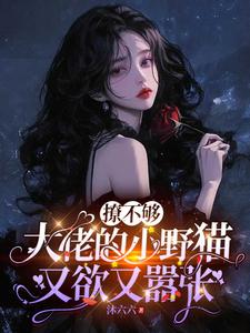 (全文)撩不够，大佬的小野猫又欲又嚣张免费小说全本，陆晨矅试读更新章节
