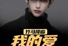 (全文)竹马降临，我的爱瞬间扫地江书正全本免费在线阅读-神奇文学